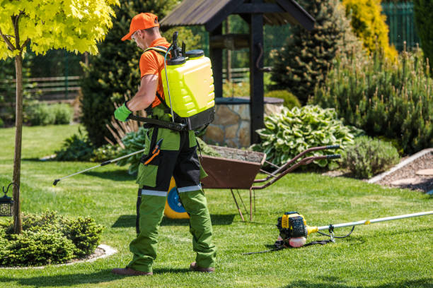 Lawn Pest Control in Kelso, WA